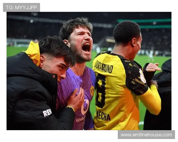 纽卡瞄准科贝尔特拉福德 维萨或被清理