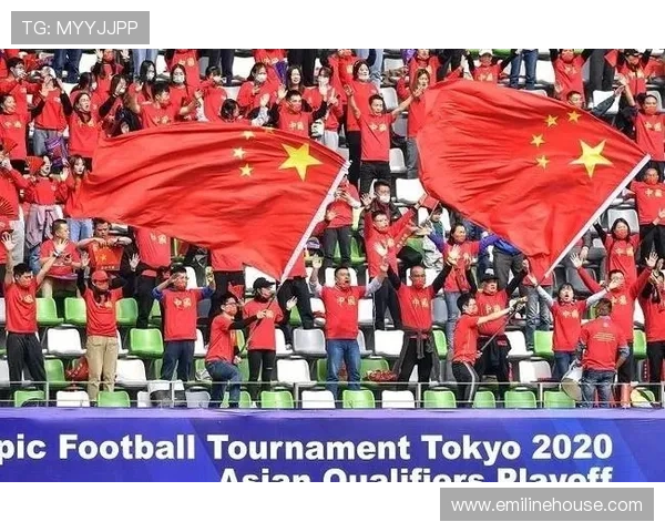 世界杯扩军瑞典蓝黄军团启征程
